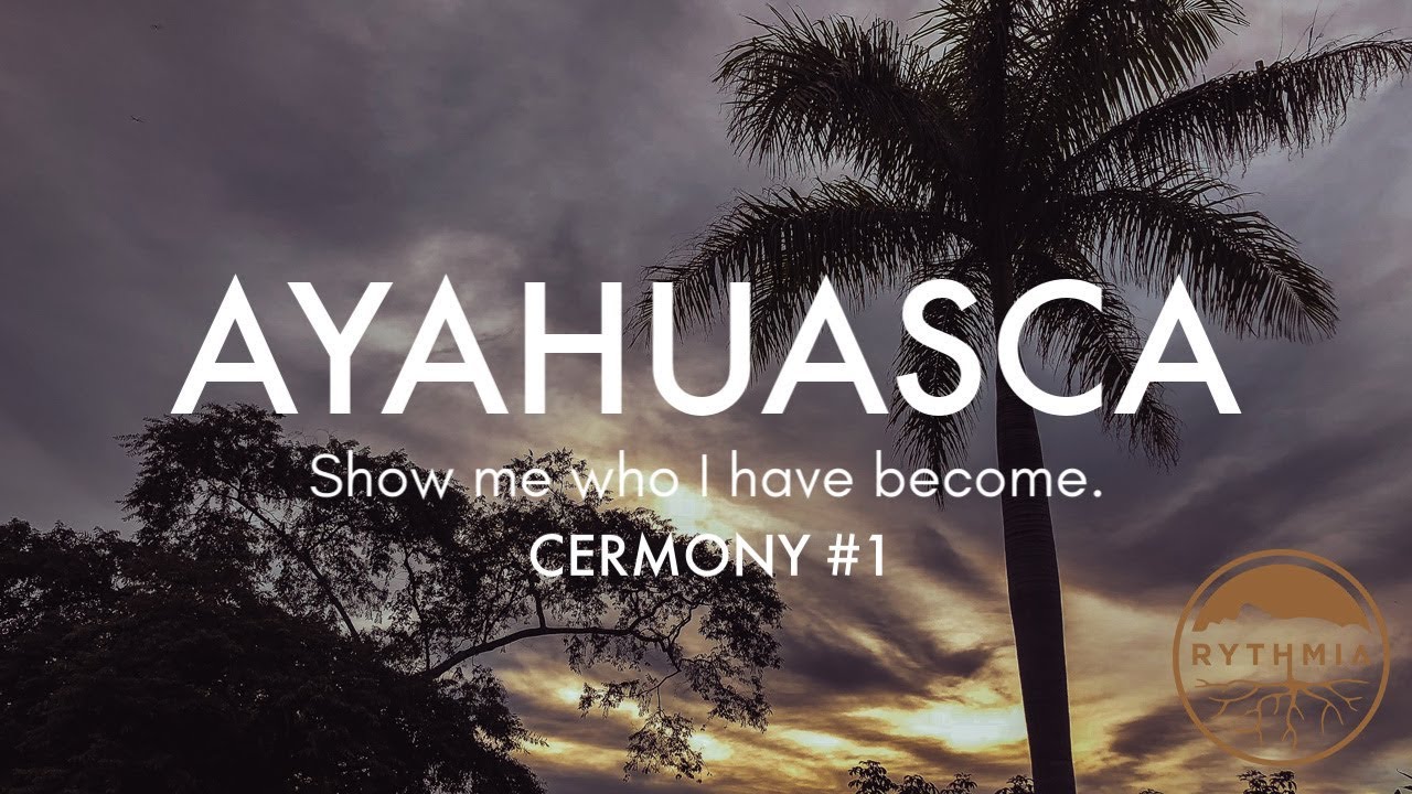 My AYAHUASCA Diary: 