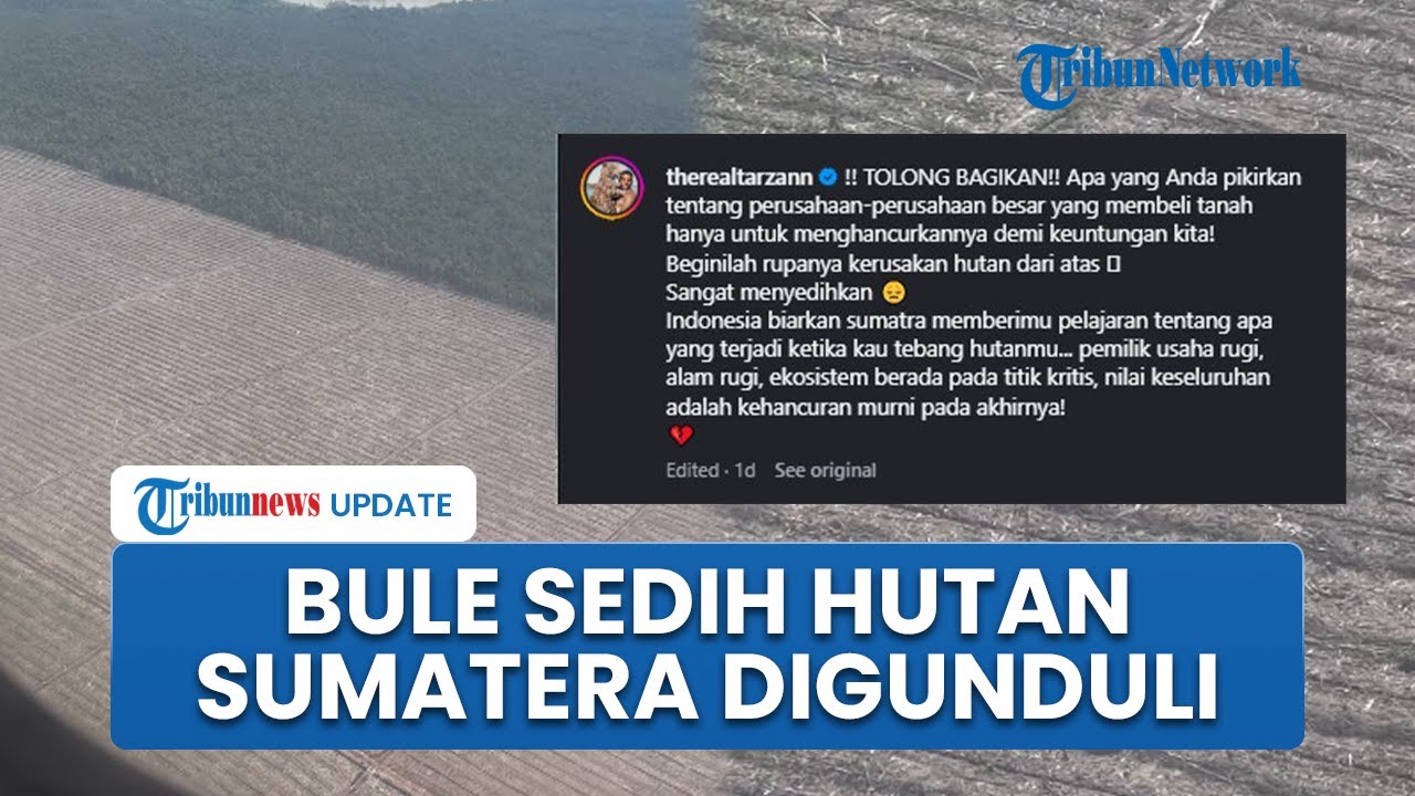 Influencer AS Rekam Parahnya Deforestasi Hutan Sumatera dari Atas Pesawat: Sangat Menyedihkan