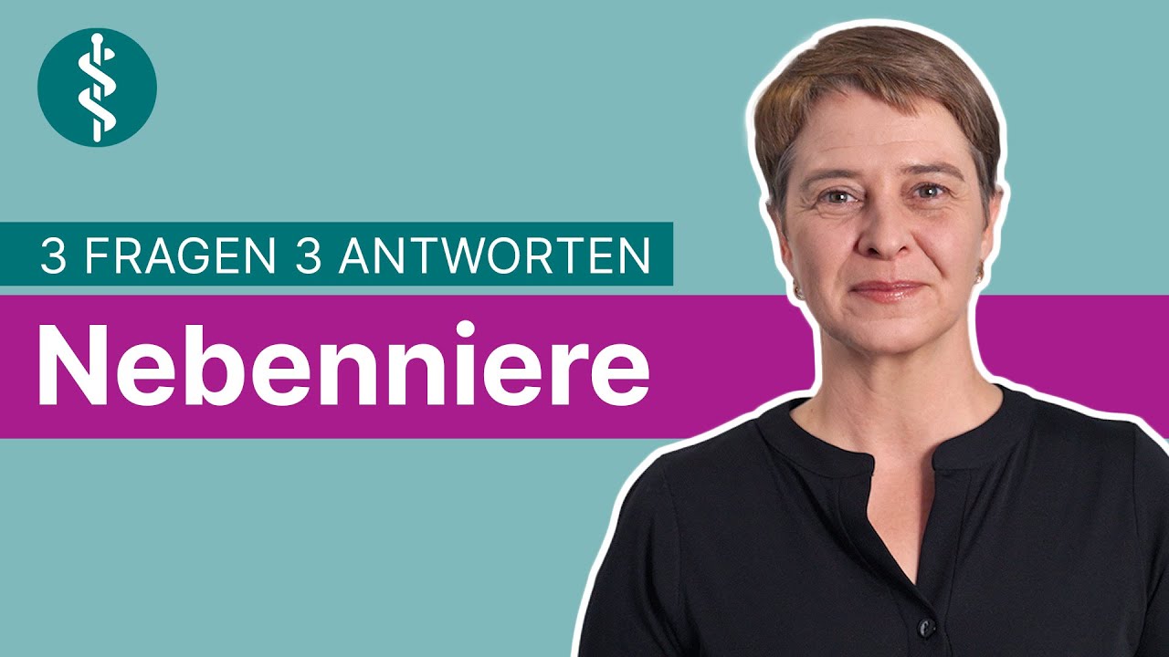 Nebenniere: 3 Fragen 3 Antworten | Asklepios