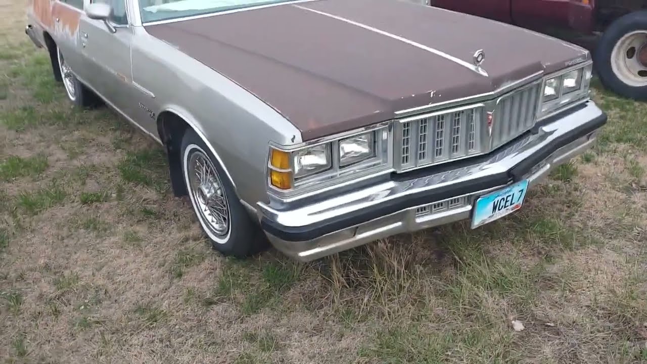 1 Month Coldstart of 1978 Pontiac Bonneville 301 V8 #brougham#patina