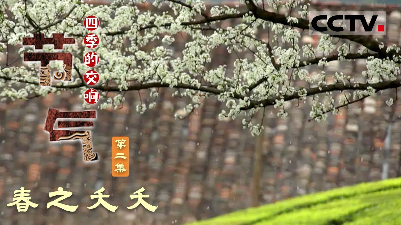 《节气：四季的交响》 第2集 春季可以做一些什么事情？中国古人在这方面的贡献太大！【CCTV纪录】
