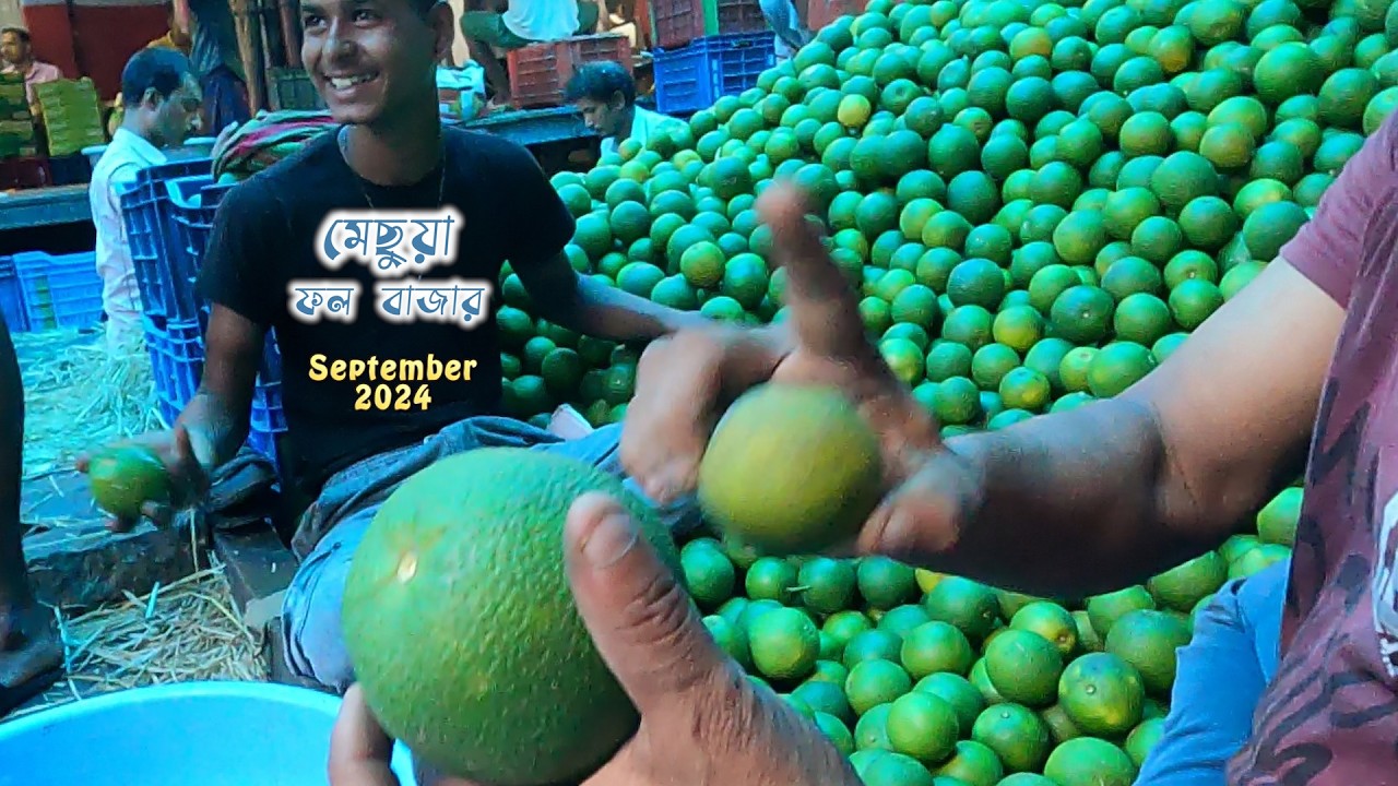 Machua fruit market | মাছুয়া ফলের বাজার মূল্য তালিকা September 2024 | Kolkata biggest fruit market