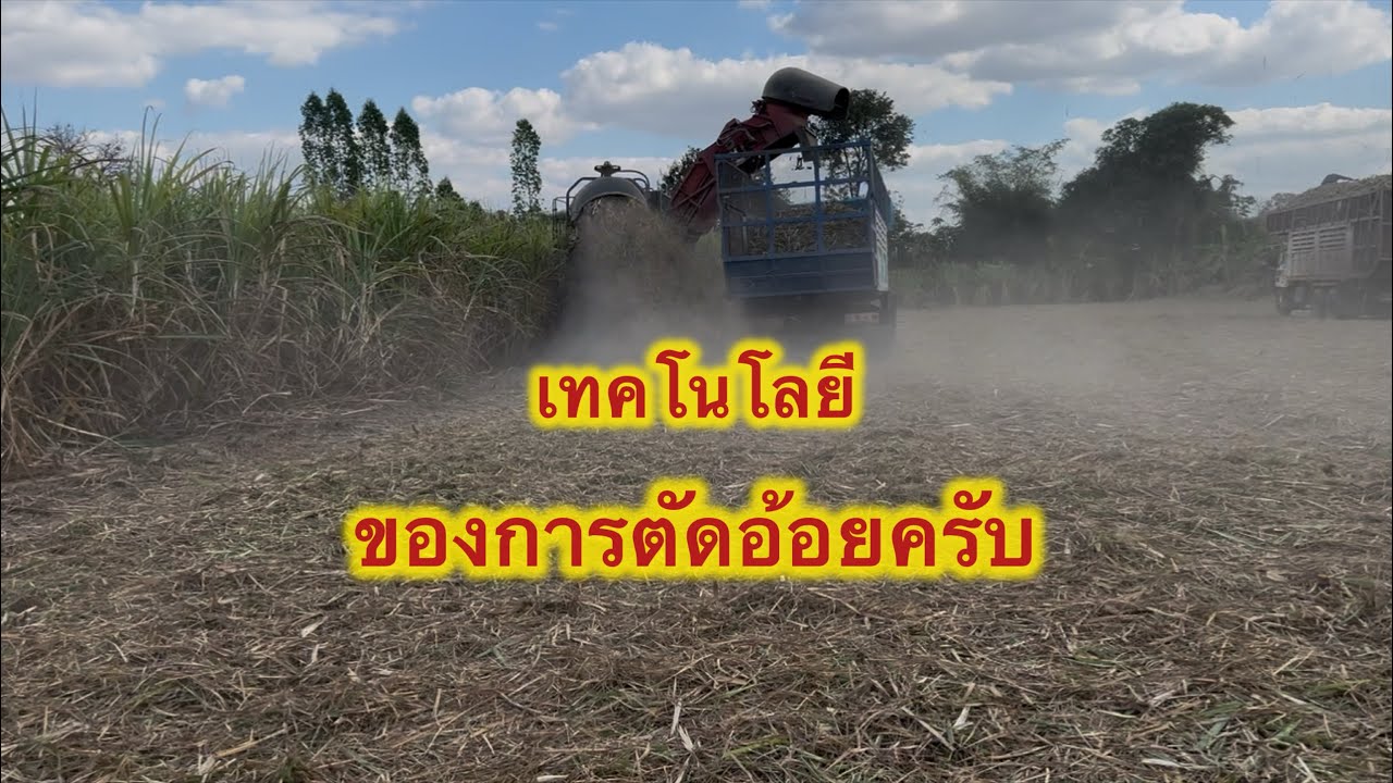พามาดูเทคโนโลยีในการตัดอ้อยสมัยใหม่ครับ