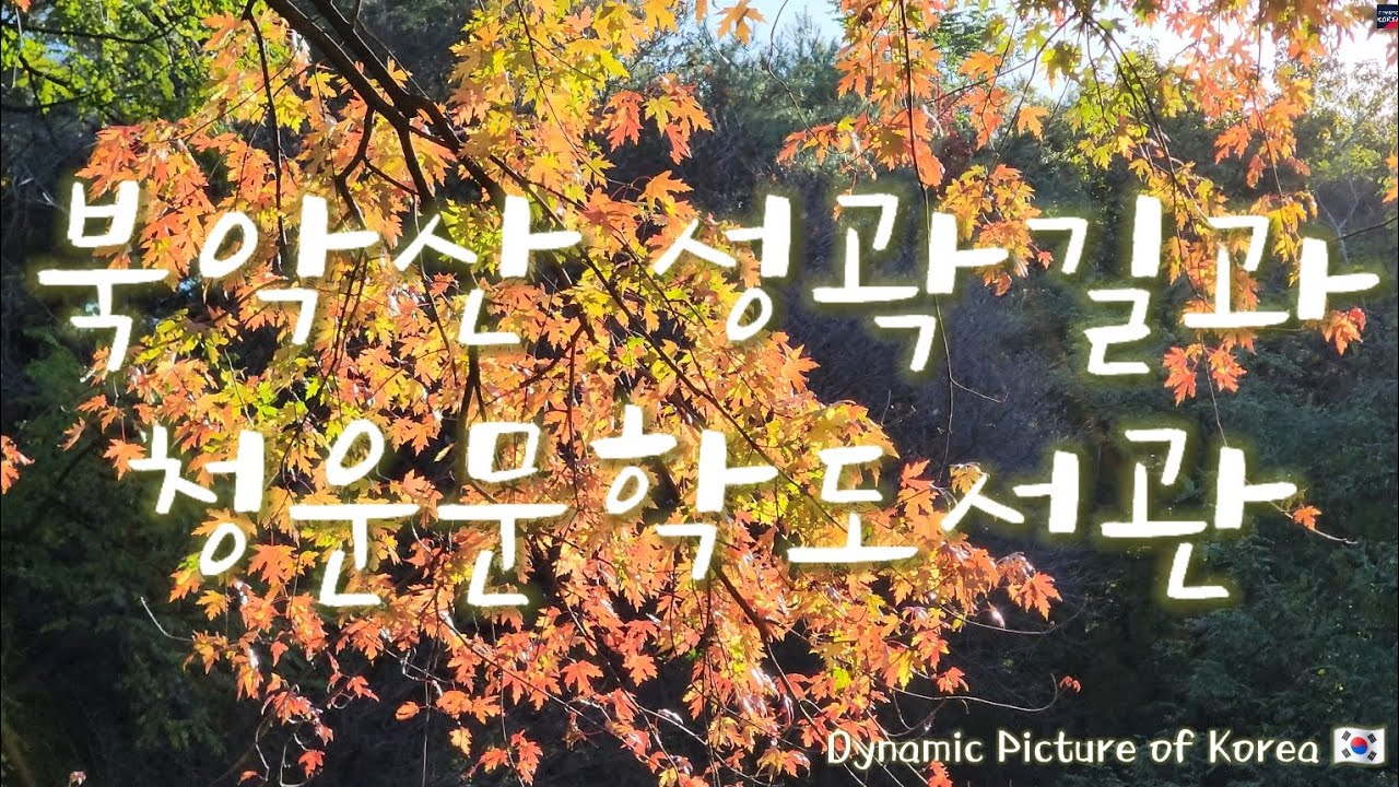 DynapicKorea 🇰🇷 북악산 성곽길과 청운문학도서관. Bukaksan Fortress Road and Cheongwoon Literature Library.