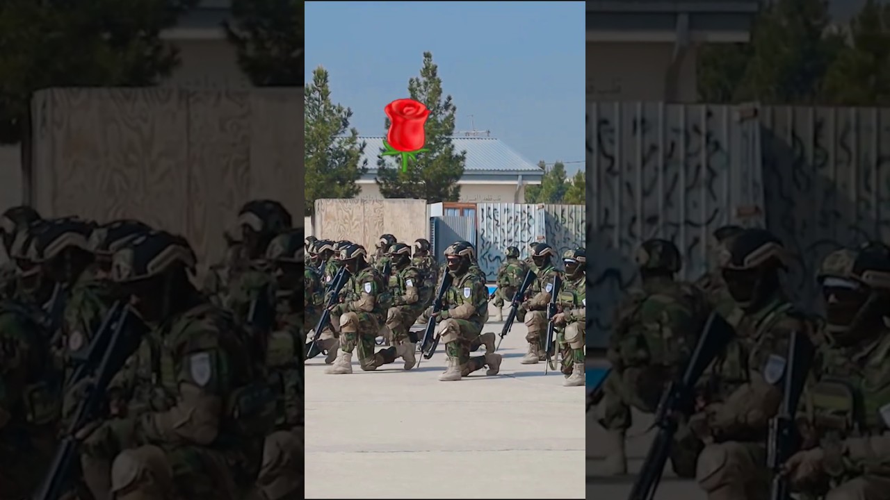 🇦🇫 Afghan Forces Conduct Organized Military Training Exercise 💪🔥 | Discipline & Readiness