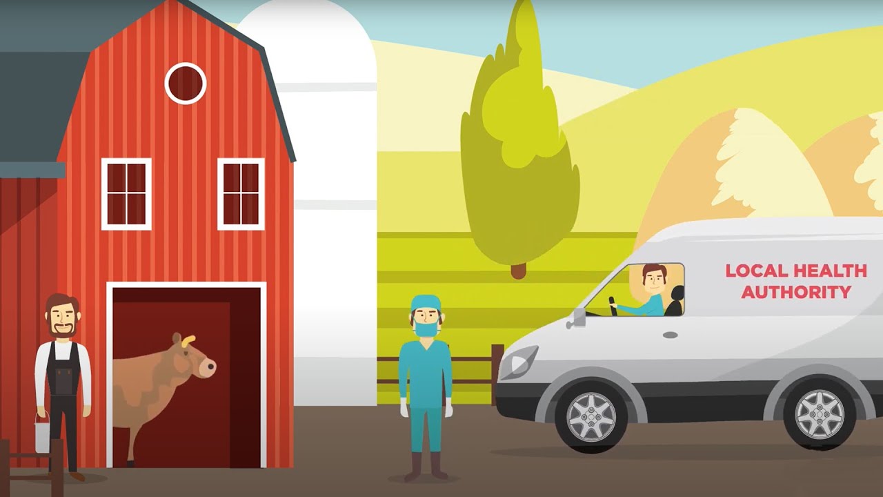 What is veterinary epidemiological surveillance?