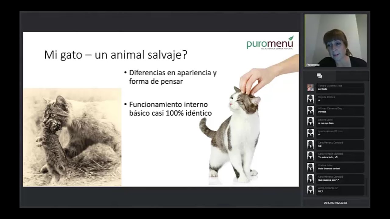 Webinar sobre Alimentación Natural BARF para Gatos