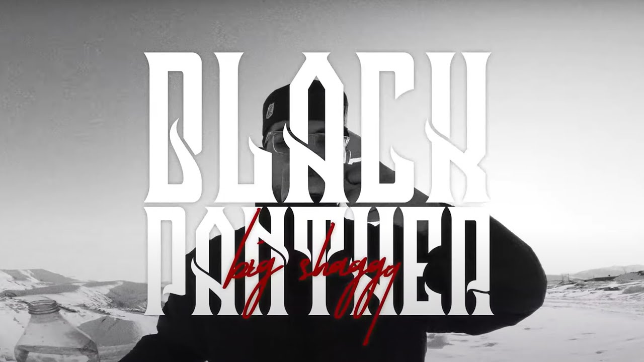 Big Shaggy - Black Panther (Official Music Video)
