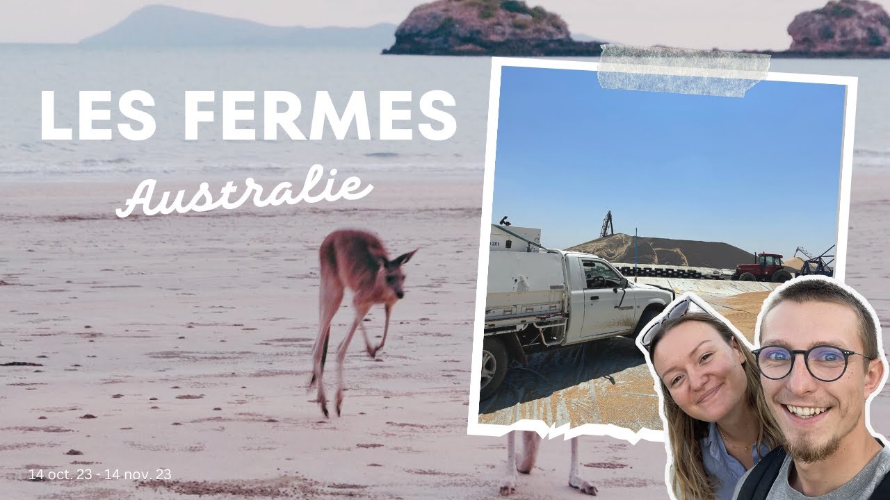 Le début de nos fermes en Australie - 2ème mois de notre PVT (88 jours, galères, routes...)