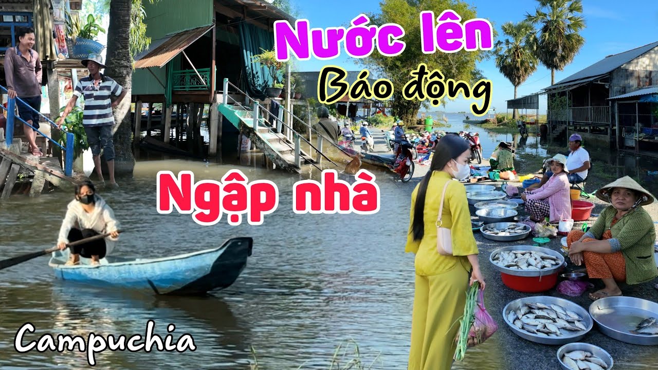 Nước Lũ đầu nguồn Campuchia lên cao đỉnh điểm - nguy cơ ngập lụt nhà biên giới chợ Tịnh Biên