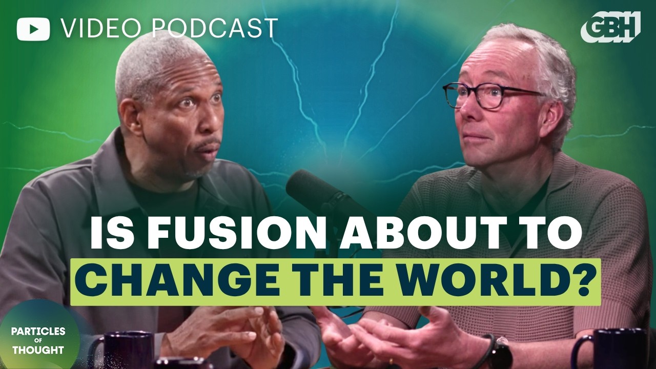 Interview: The Fusion Future with Dennis Whyte | Particles of Thought