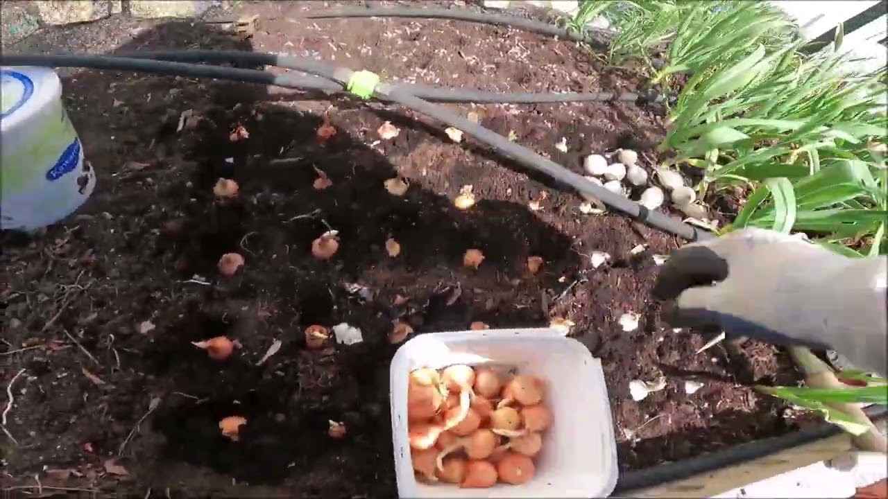 GARDEN PLANTING, MAINTENANCE & TOUR 2025