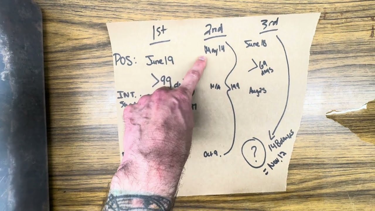 Boa Breeding Tip #7:  Why is my gravid boa shedding again and estimating due dates?