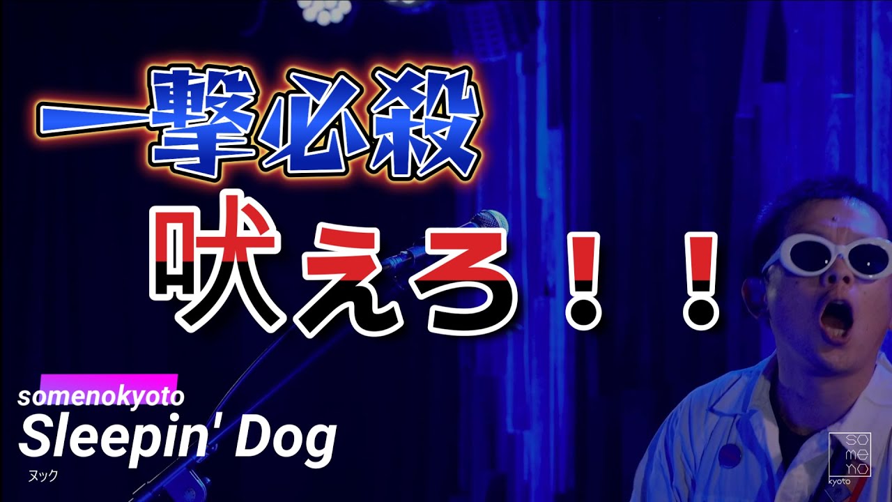 Sleepin' Dog (オリジナル曲) ＠