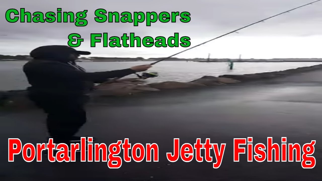 Portarlington Pier Flathead and Snapper  Fishing Livestream #squid #snapper #flathead #portarlington