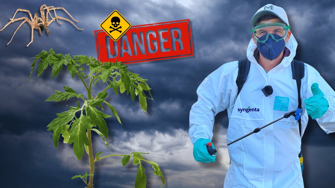 🕷️”Zemoase și otrăvite”!? Hai cu mine la stropit!