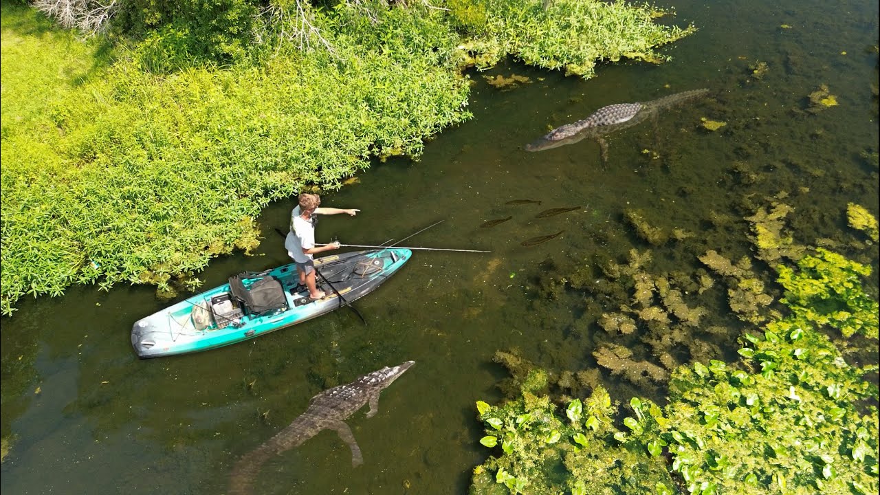 Fishing Alligator Infested SWAMP For BIG BASS! (New PB)