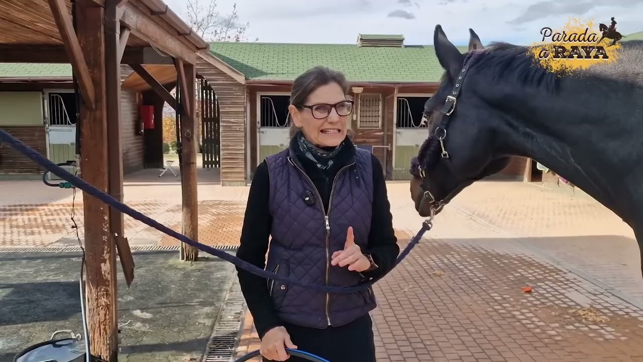 Tutorial fácil para evitar que los alcances de tu caballo se infecten