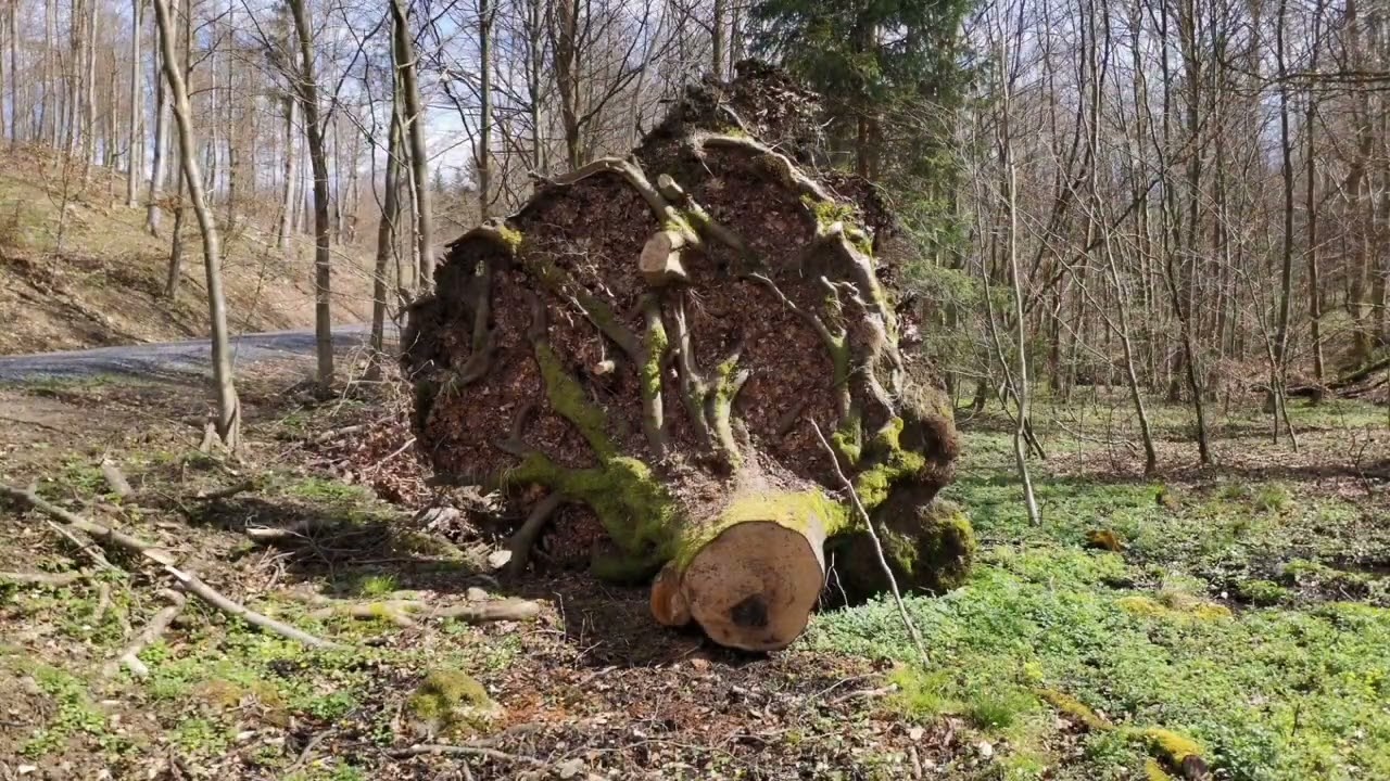 Treseburg Bodetal Harzer Wandernadel