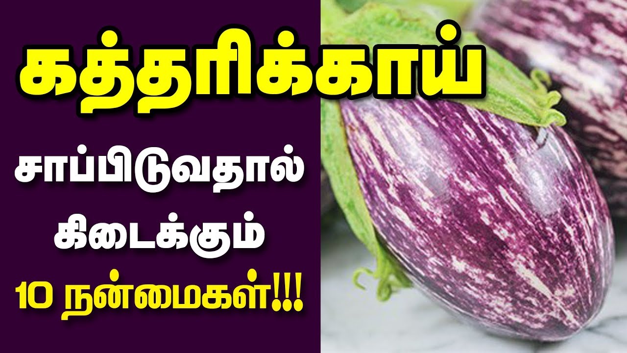 கத்தரிக்காய் நண்மைகள் | Top 10 Health Benefits of  Brinjal Tamil |  Eggplant Benefits / Health Tips