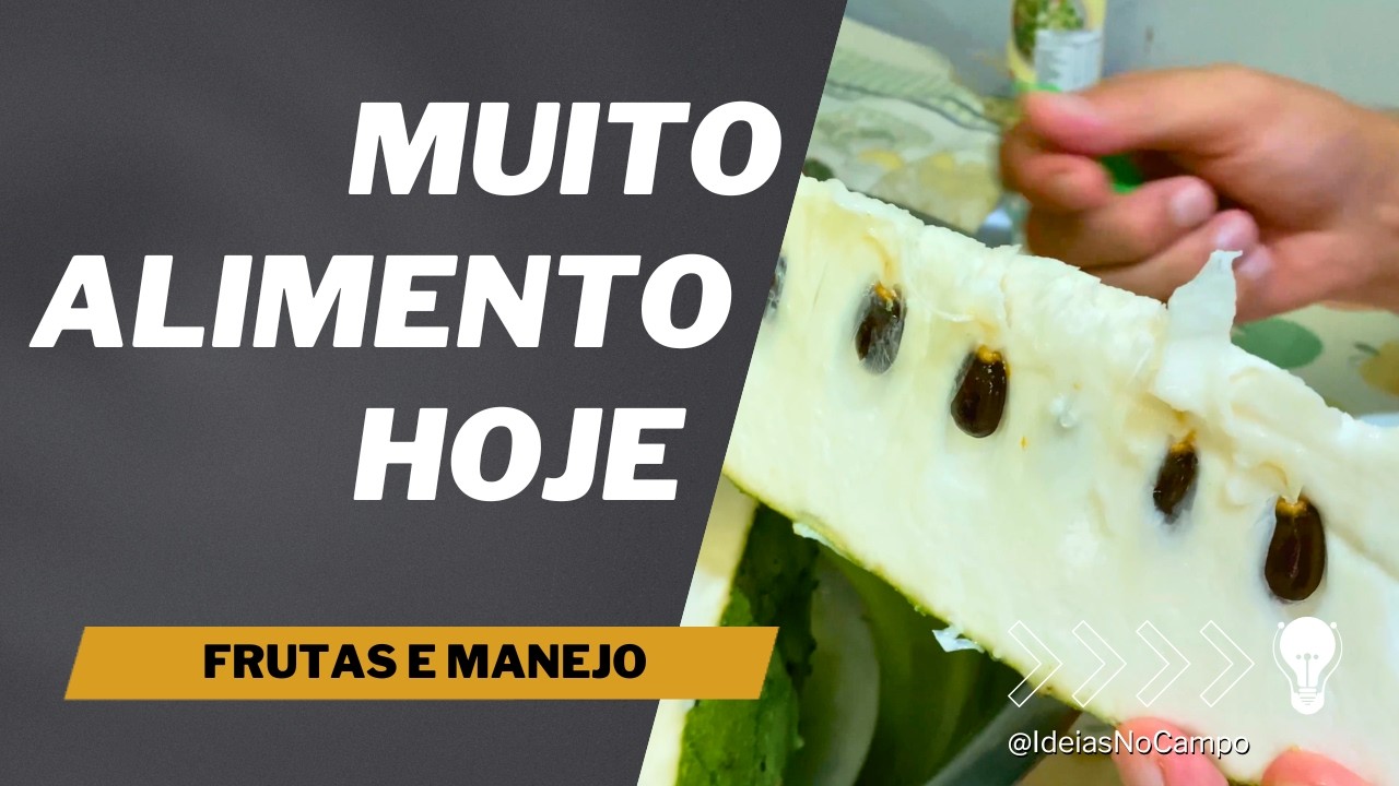 Nossa Roça Está Transbordando Vida e Abundância