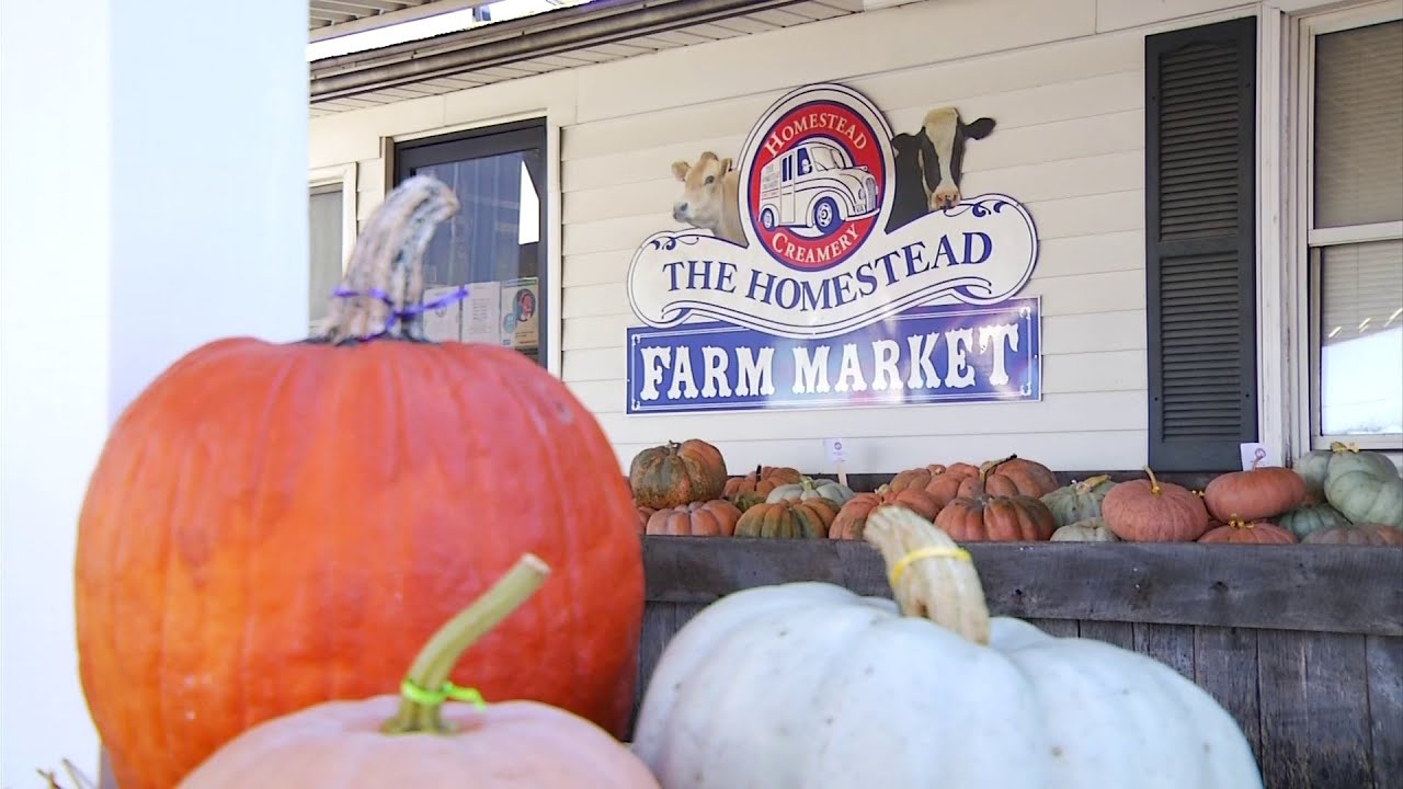 Tasty Tuesday: Homestead Creamery