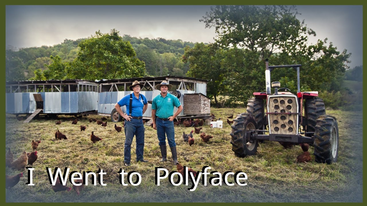 Is It Time To GO ROGUE? Polyface Farm Tour and Rogue Food Conference Recap.