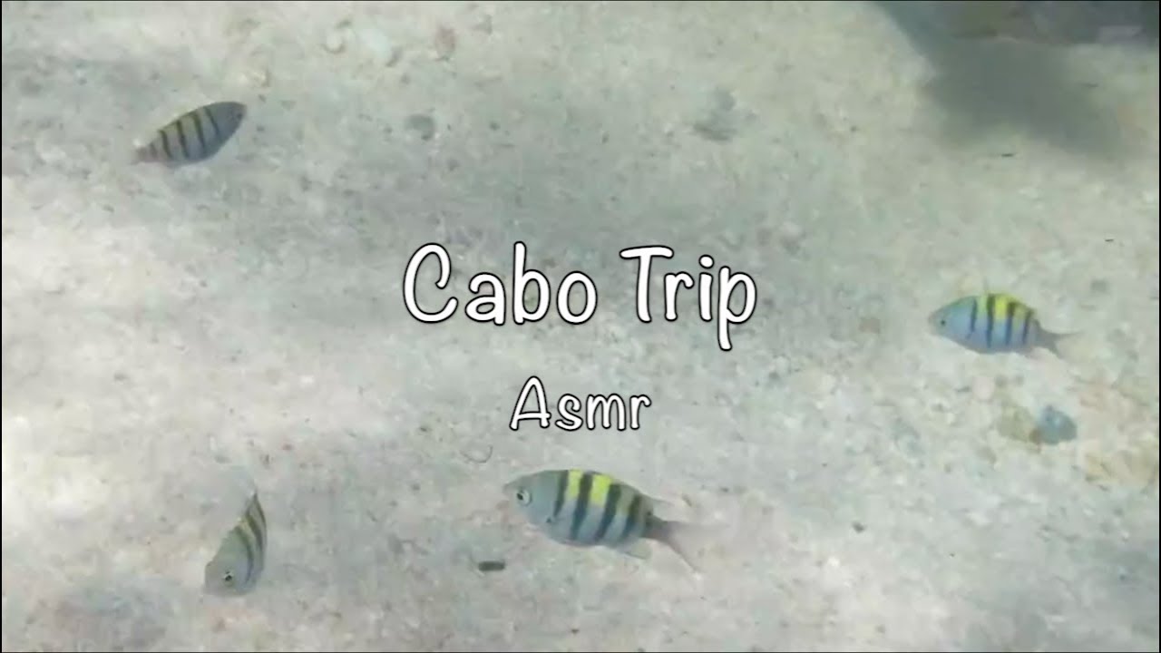 Asmr  -  Cabo Trip - Softly Spoken
