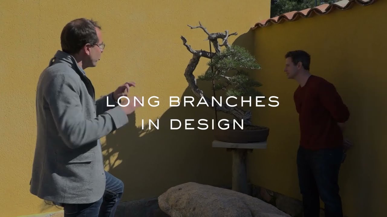 Long Branches in Bonsai Design With David Benavente