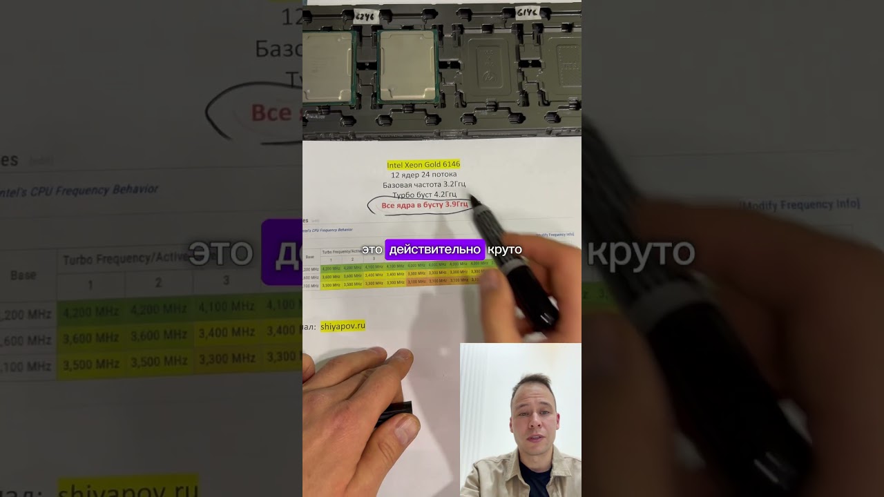 Феномен процессора Xeon Gold 6146. Почему он так популярен? #shiyapov #сервер