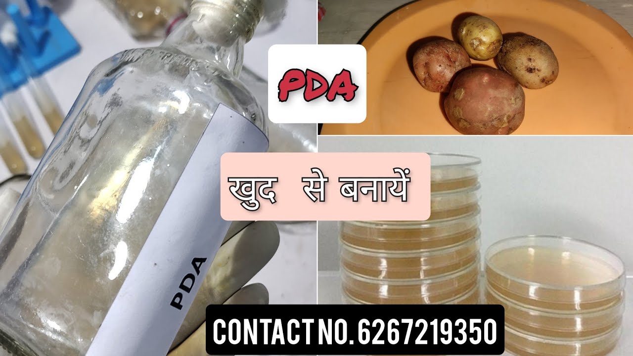 Potato Dextrose Agar ( PDA ) Making Procedure. पोटेटो डेक्सट्रोज़ आगार बनाने की विधि .