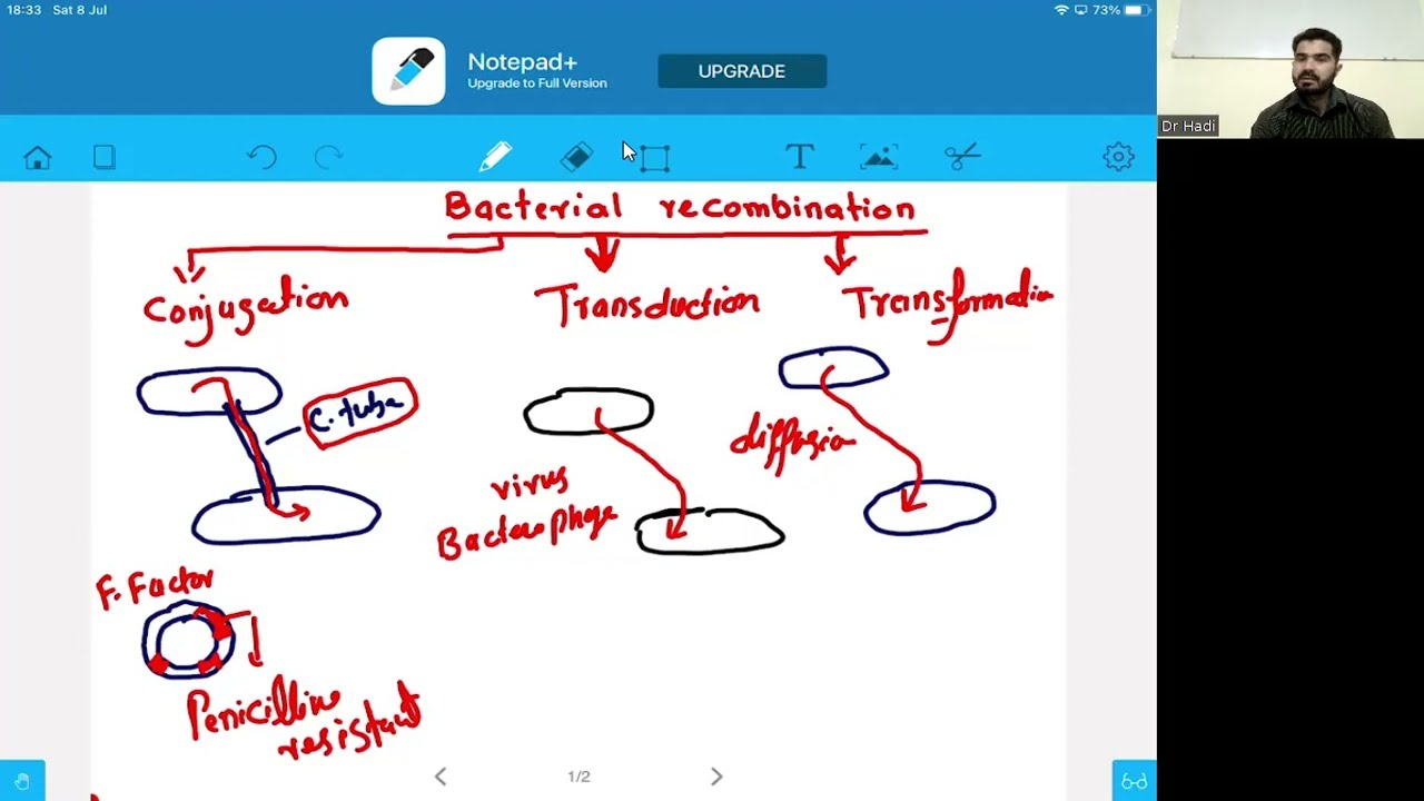 Kaplan A Level MDCAT MCQs NO 13 Conceptual discussion