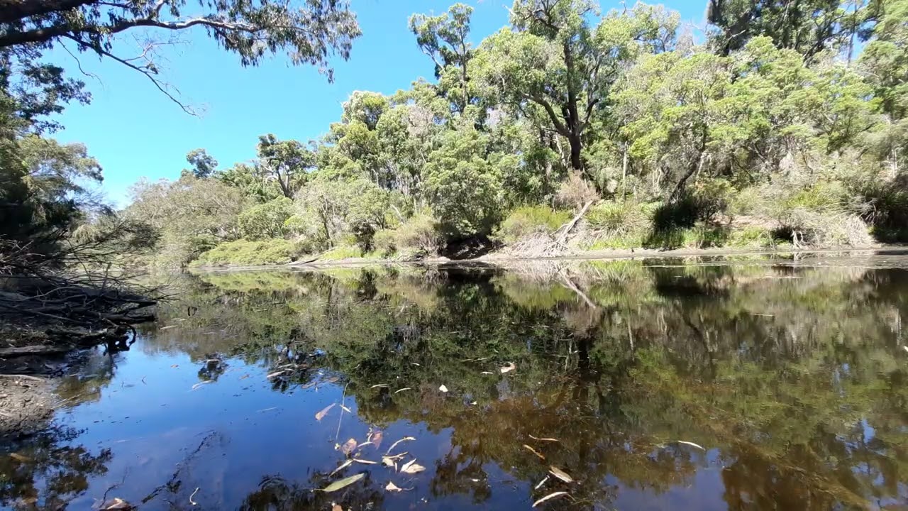Windows into Nature's Part 1