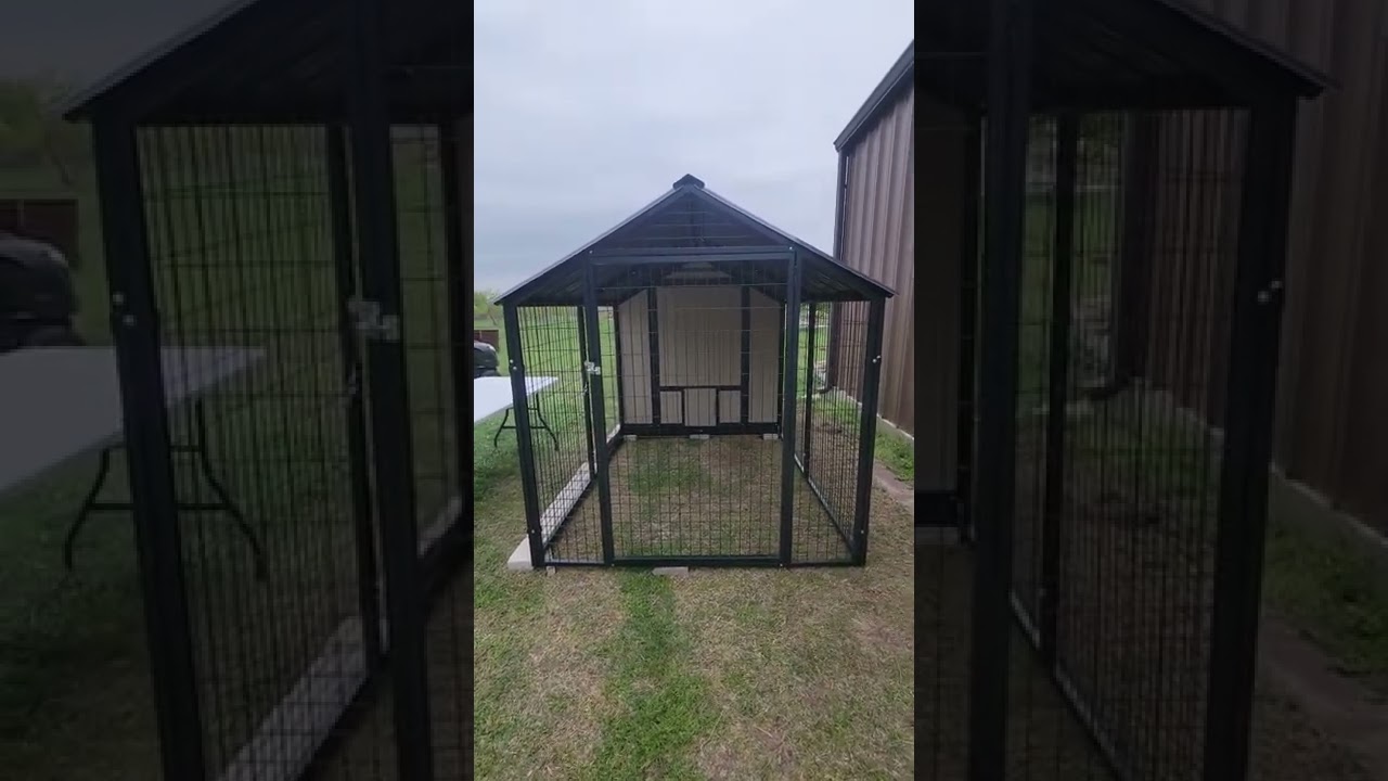 Cooped up recap of XL Sentinel Coop