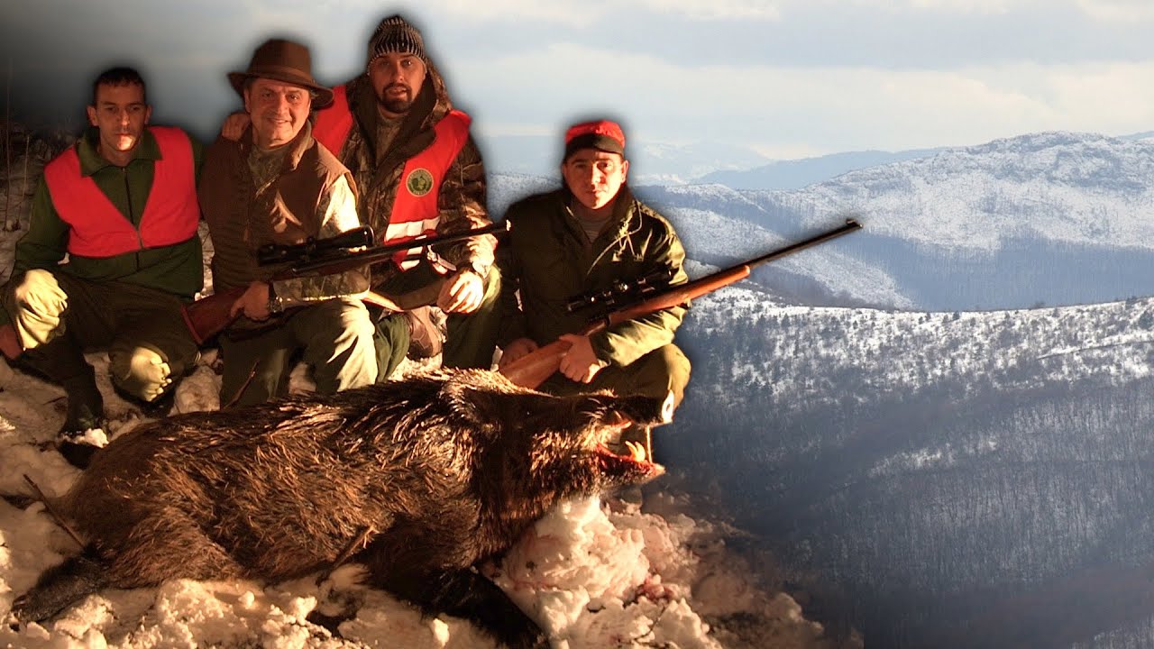 Hunting Serbia - Wild boar hunting | Lov na divlje svinje Stara planina | Caccia ai cinghiali
