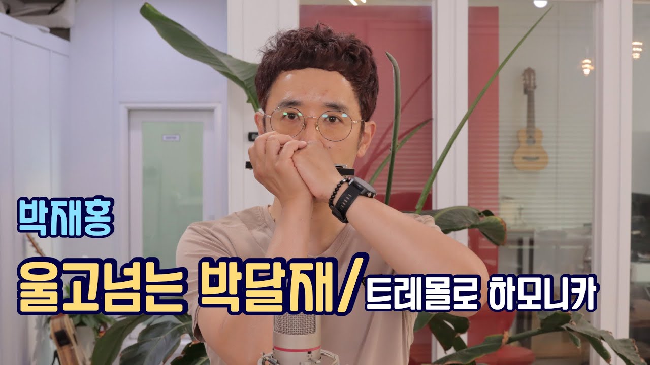 박재홍-울고넘는박달재 [하모니카] Cover 정훈