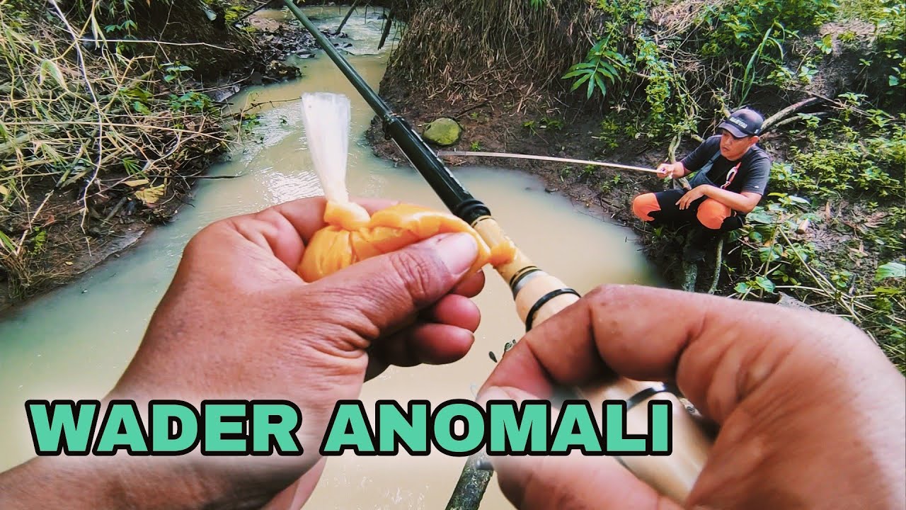 SPOT WADER ANOMALI