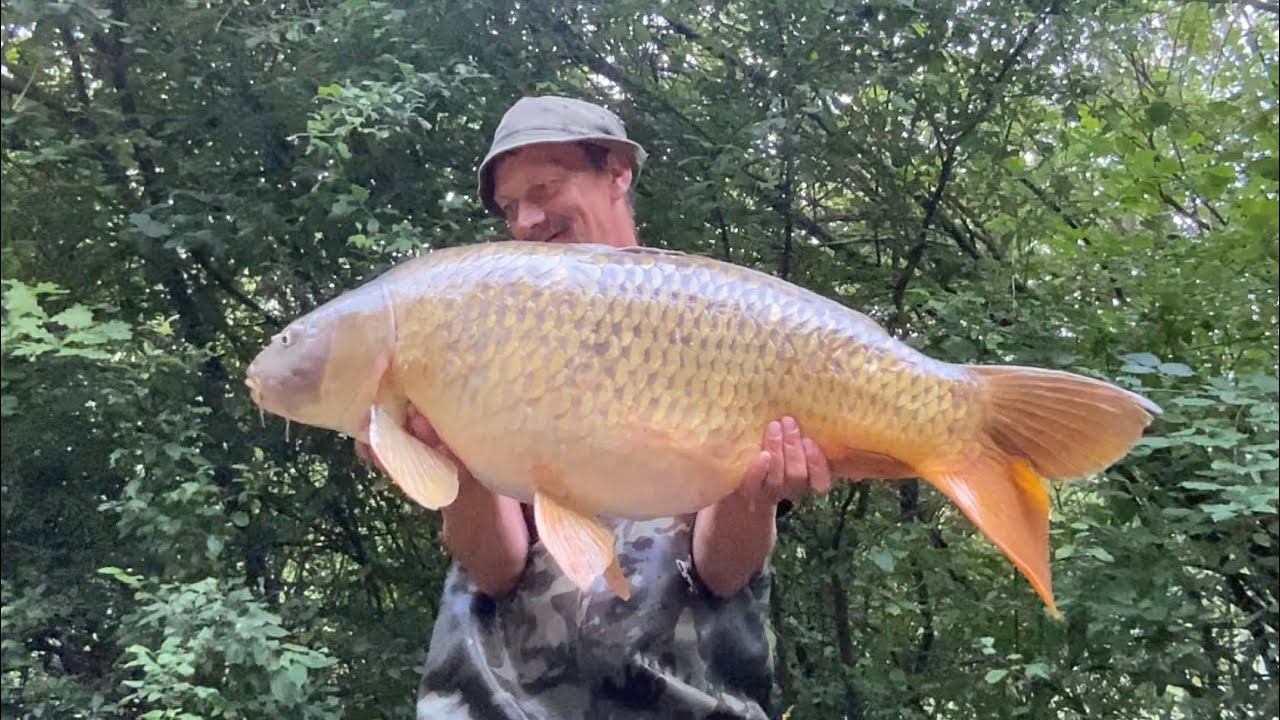 French adventure Carp fishing lac Beauregard July 2023