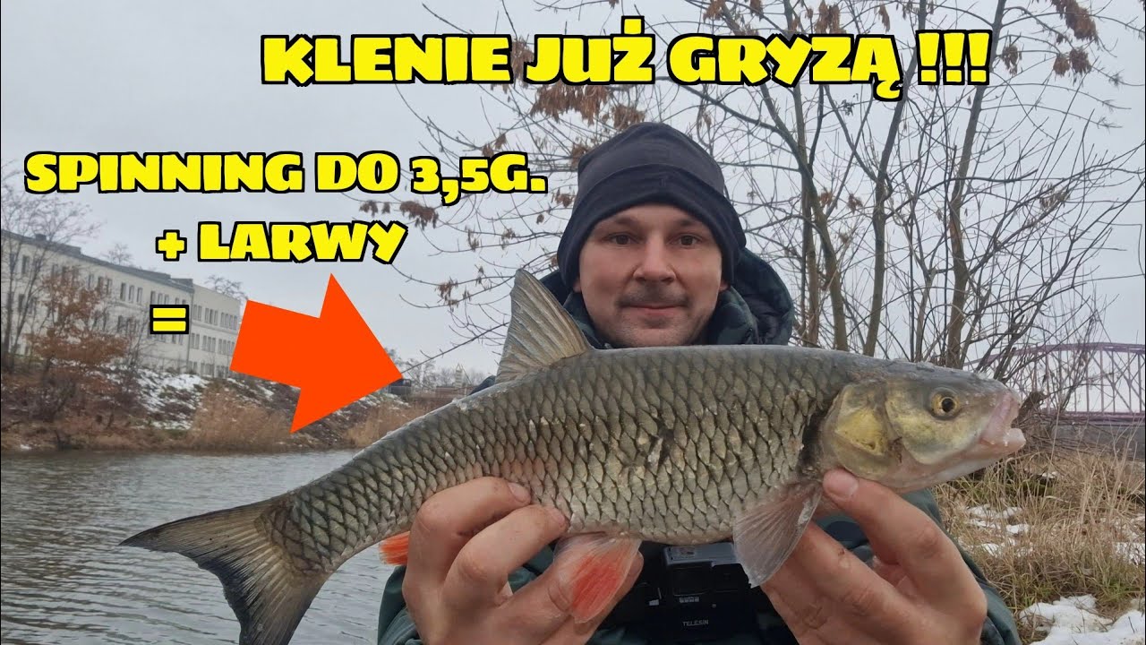 KLENIE NA SPINNING ULTRA LEKKIE ŁOWIENIE