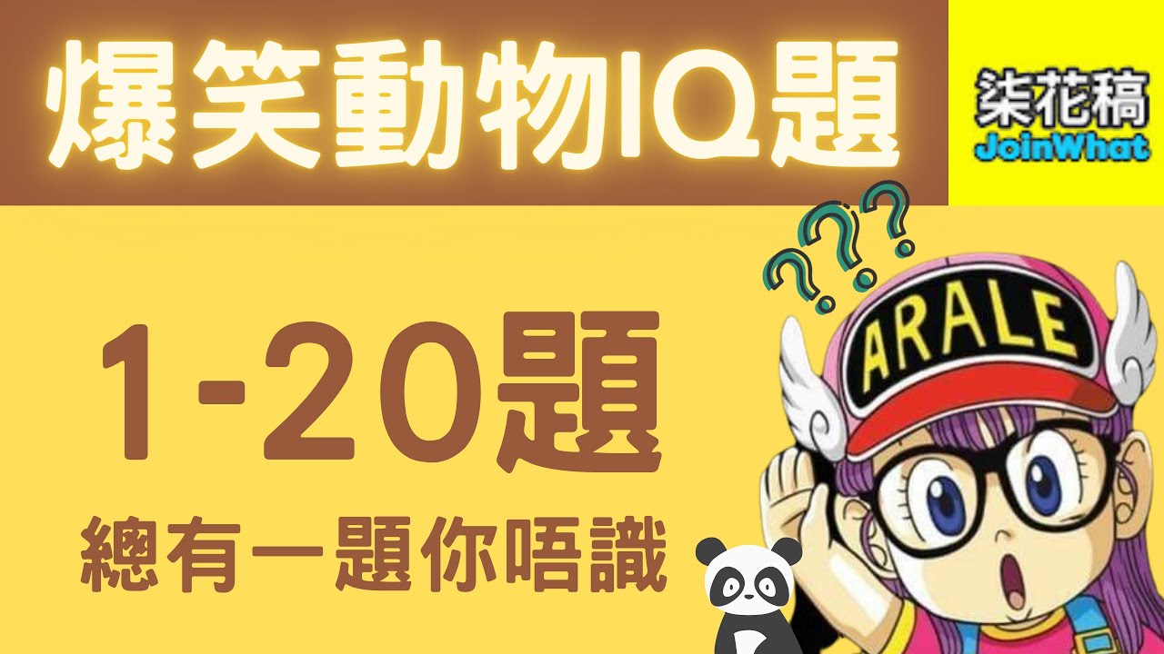 超爆搞笑動物IQ題 20題 - 總有一題你唔識 | 柒花稿