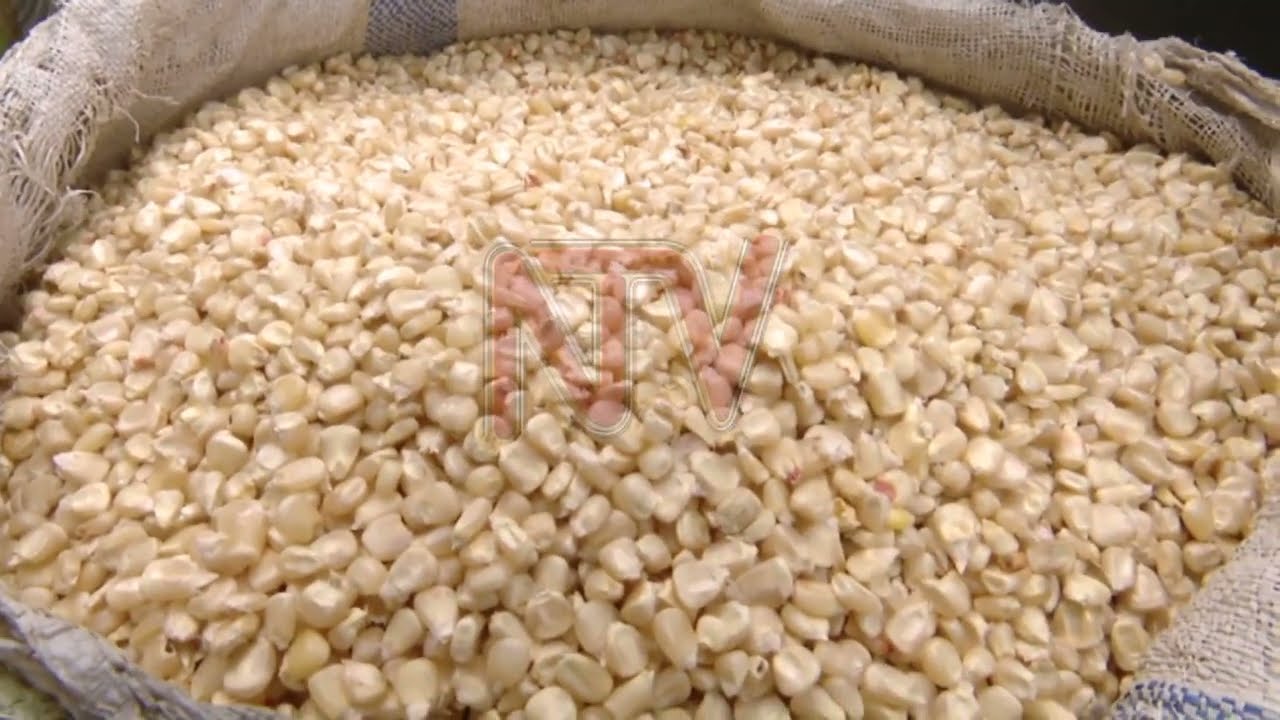 Kenya maize price to climb to UGX 6,629