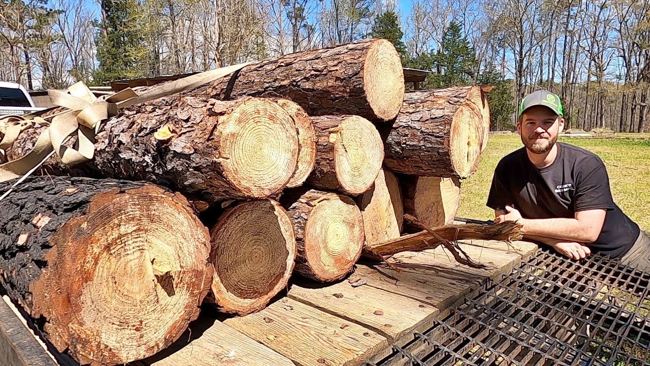 From Trash to Treasure: Free Logs for the Sawmill!