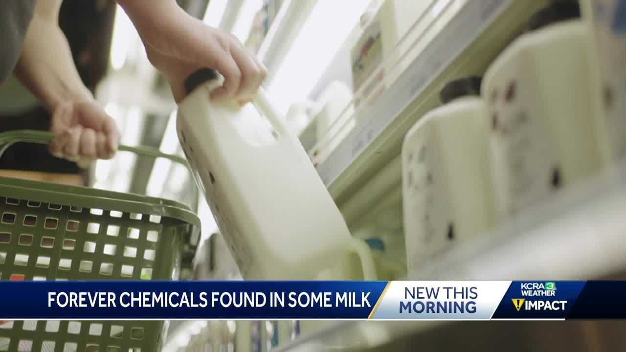 Consumer Reports: Forever chemicals found in some milk