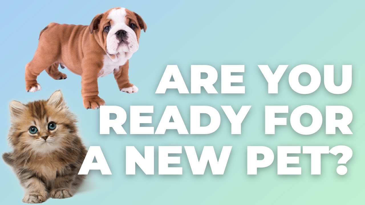 The Honest Truth: How to Know If You’re Ready for a New Pet After Loss