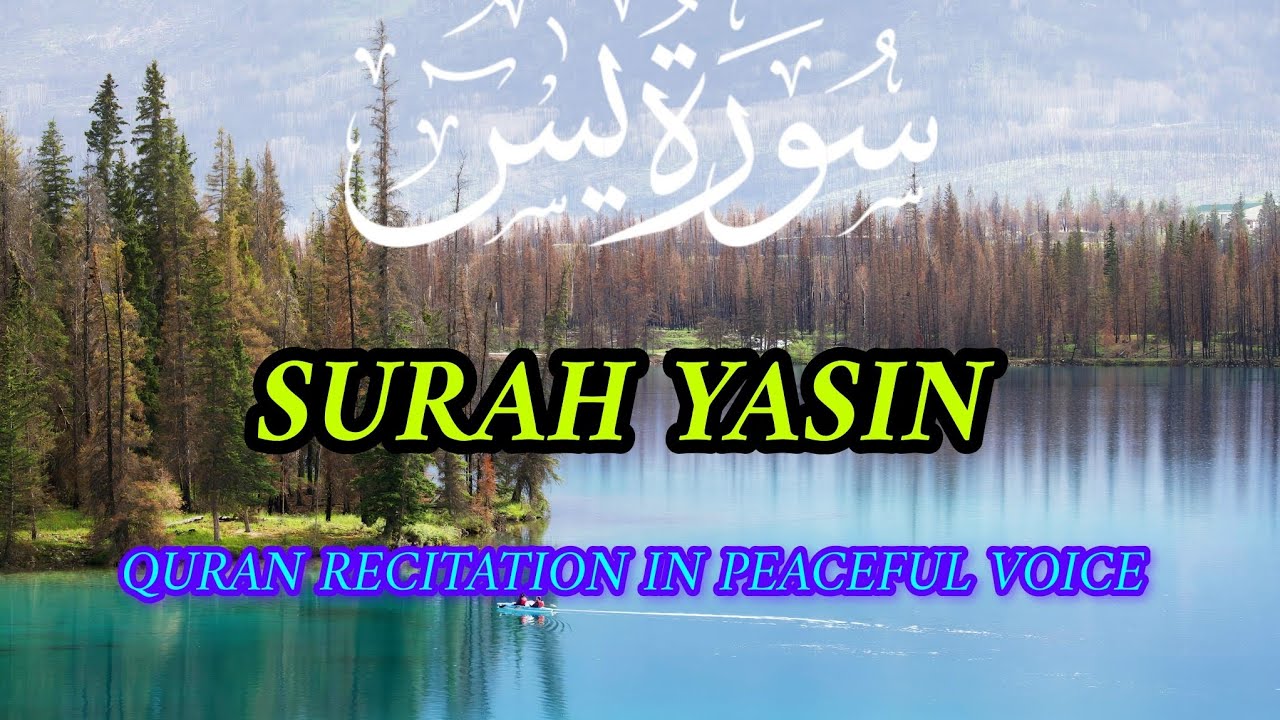 Heart touching Qur'an recitation visualization surah yasin heart of the Qur'an #surahyaseen 