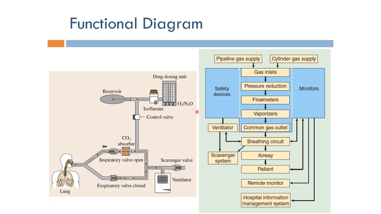 Anesthesia: Functional Diagram (English Narration)