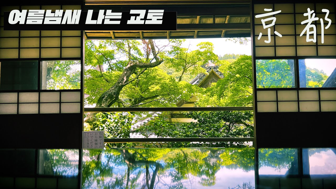 일본 교토의 감성이 잘 표현 된 사찰ㅣ일본 교토 여행