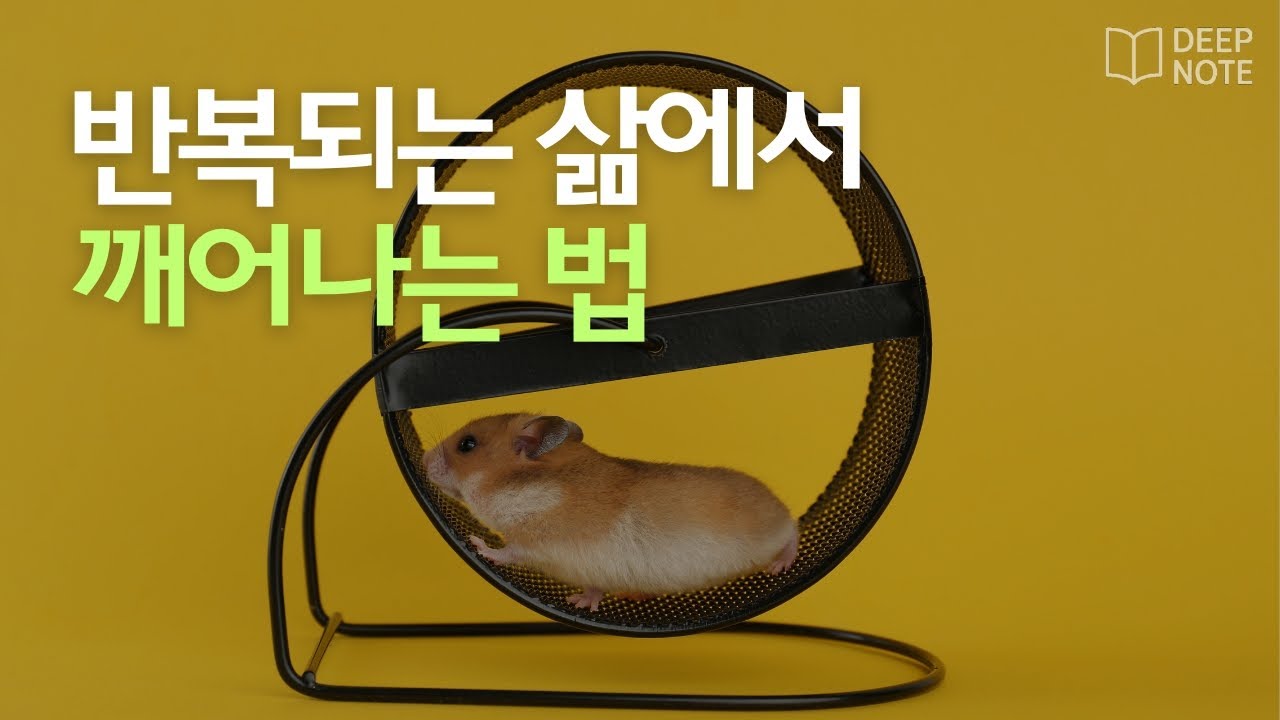 삶의 패턴을 인식한 자는 운명을 다시 쓴다