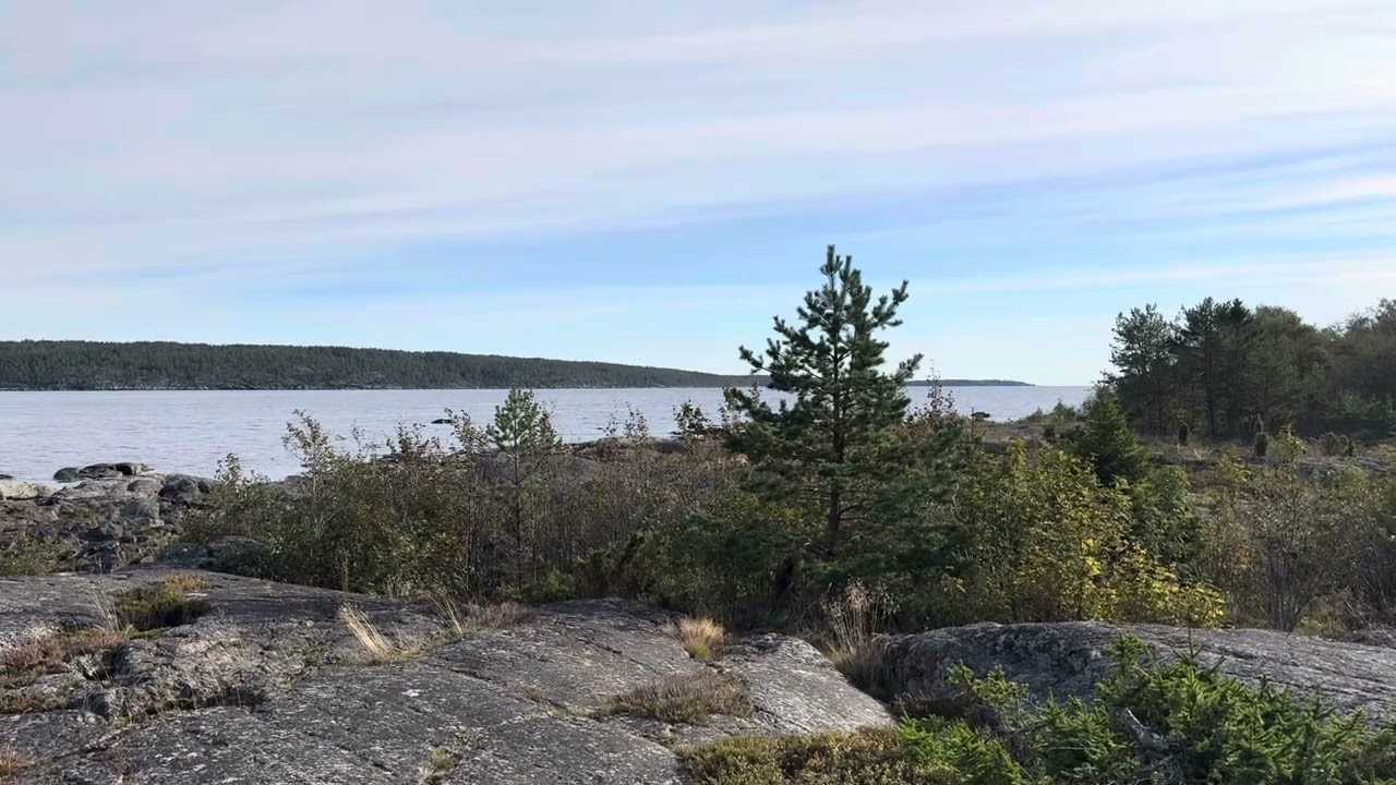 2025-09-26 Stjärtmes lockläte, Fyren Lörudden, Njurunda.