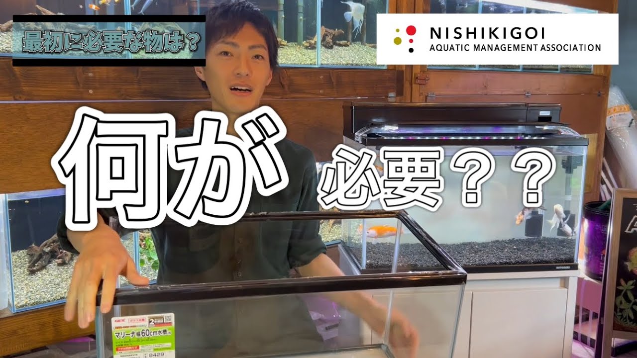 ＜KOI＞錦鯉水槽飼育普及協会#002【最低限必要設備】
